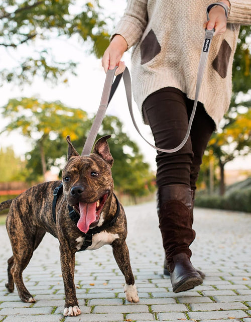 Load image into Gallery viewer, 4FT Heavy Duty Dog Leash with Soft Padded Double Handle, Durable Strong Clasp Dog Leashes, Reflective Nylon Walking Lead for Large,Medium,Small Breed Dogs, Grey
