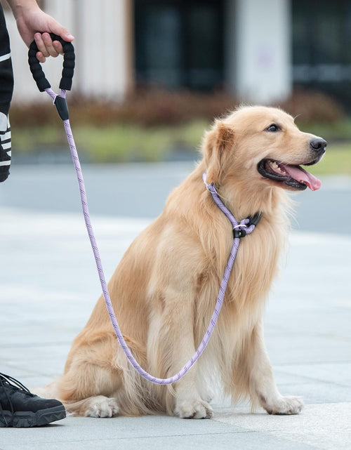 Load image into Gallery viewer, 6 FT Durable Slip Lead Dog Leash with Padded Handle and Highly Reflective Threads, Dog Training Leash, (Small, 0~35 Lbs, Black)
