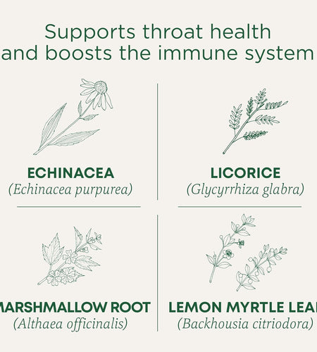 Throat Coat Organic Pectin Throat Drops, Lemon Ginger Echinacea, Soothes Sore Throats, 16Ct.